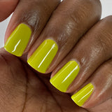 Was Love Got to Do with It