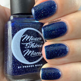 A Starry Night is Born