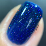A Starry Night is Born