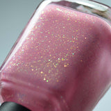 If Wishes Were Starfishes