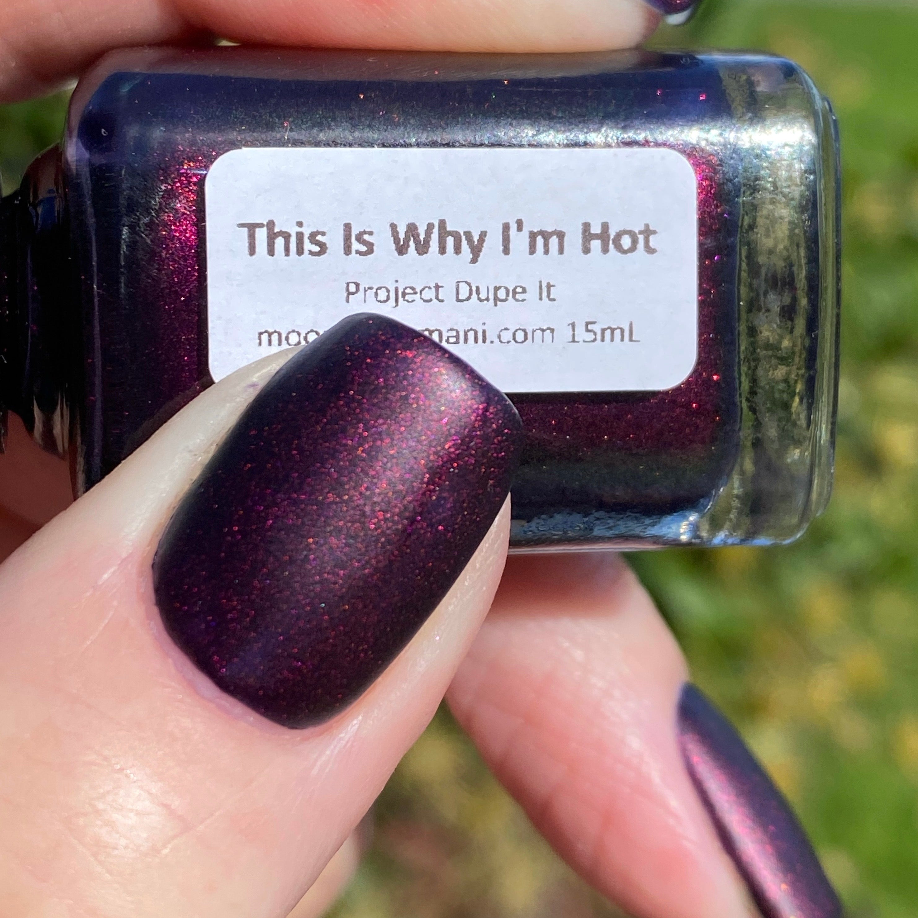 This is Why I’m Hot