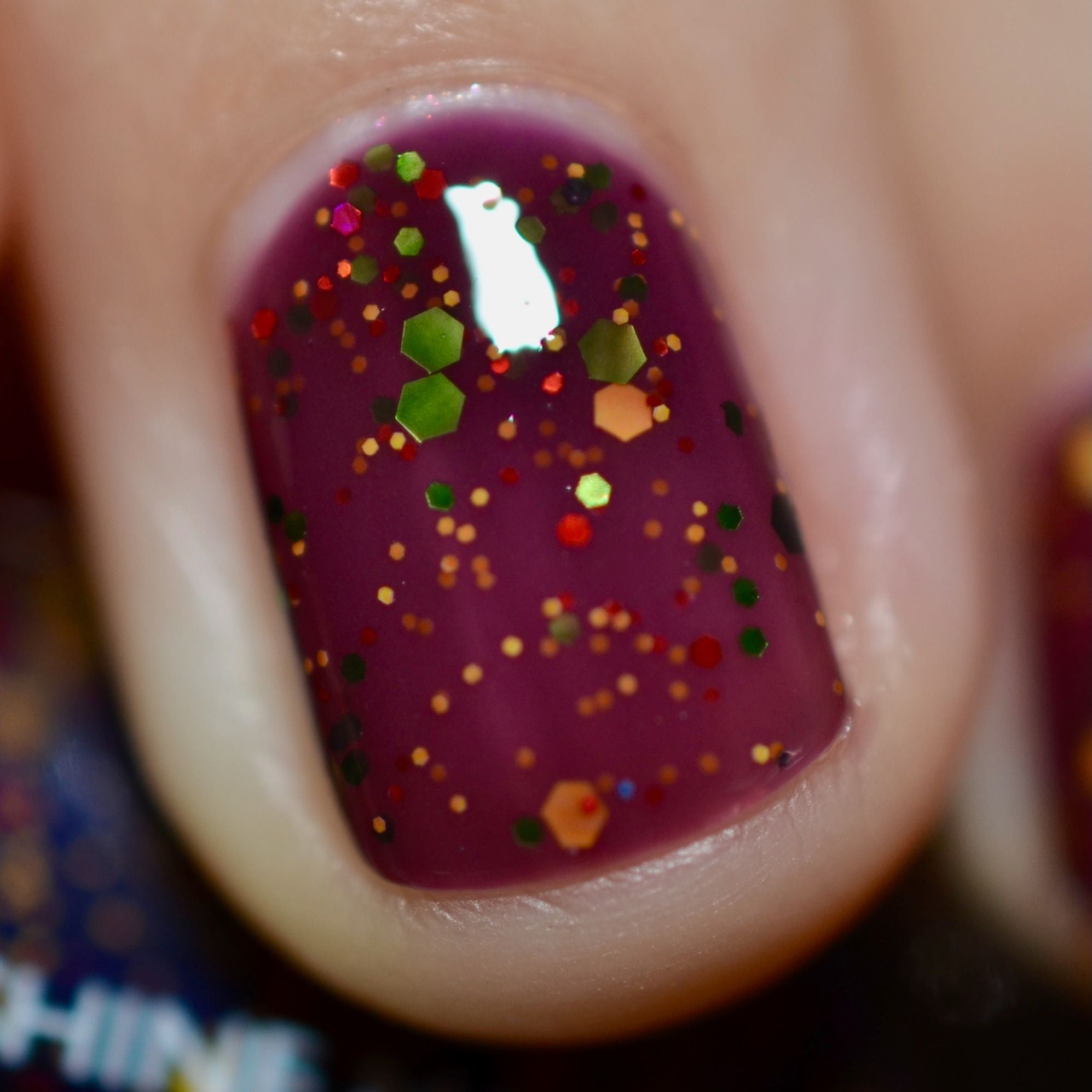 Welcome to the Party, Pal