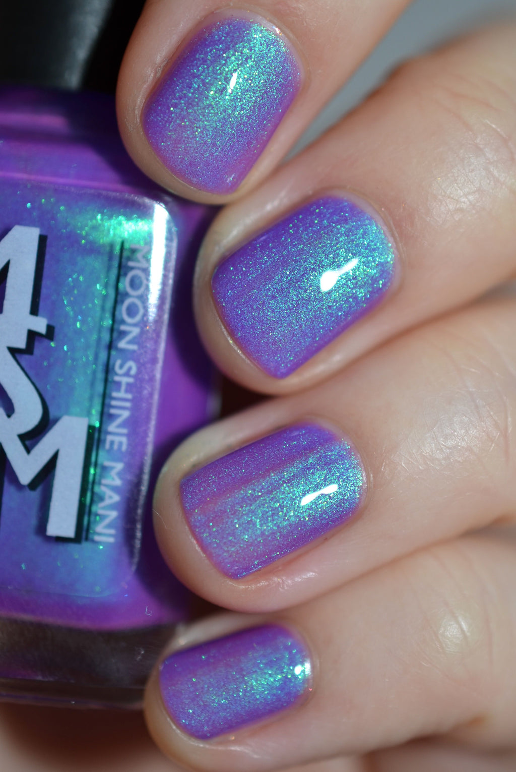 Bill and Ted’s Excellent Adventure