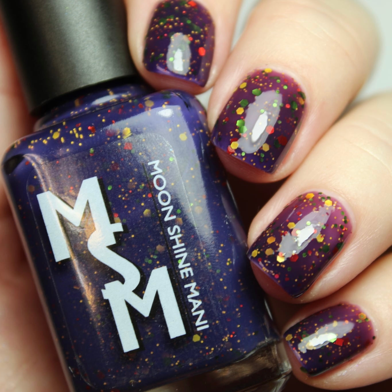 Welcome to the Party, Pal