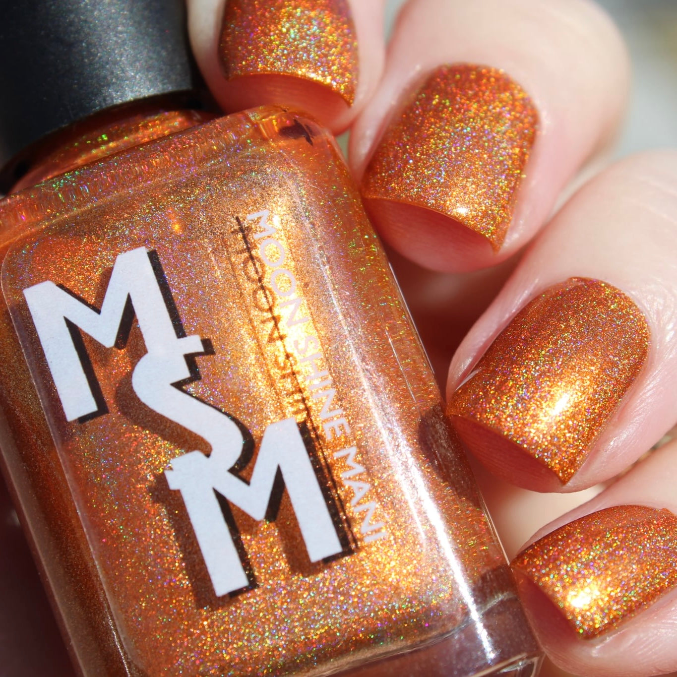 Charles Hayden Savage