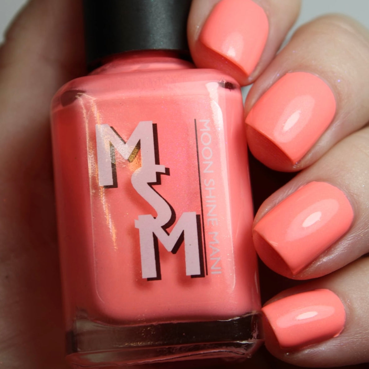 On the Flip Side Plus