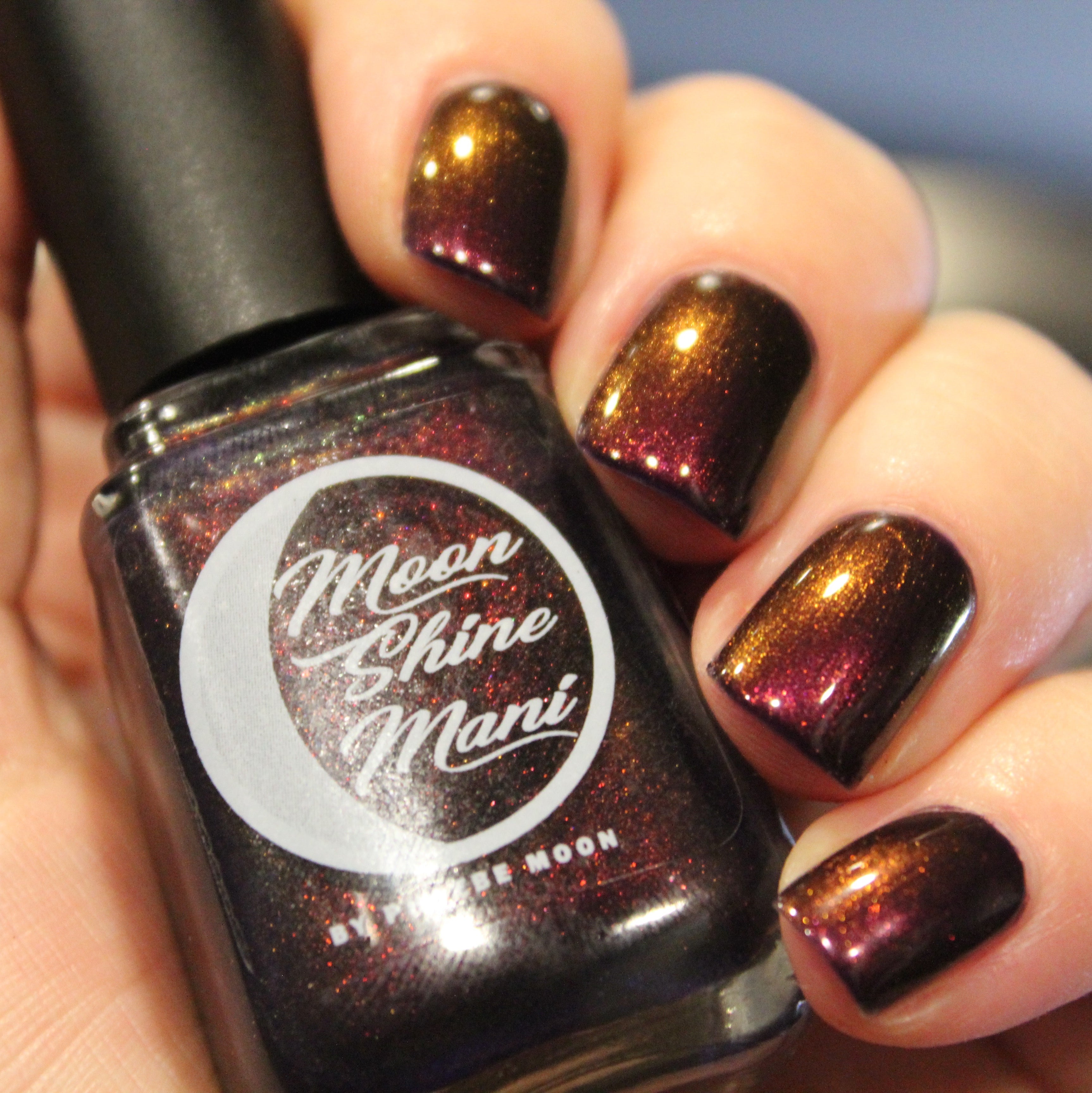 Every Week is Swatchfest